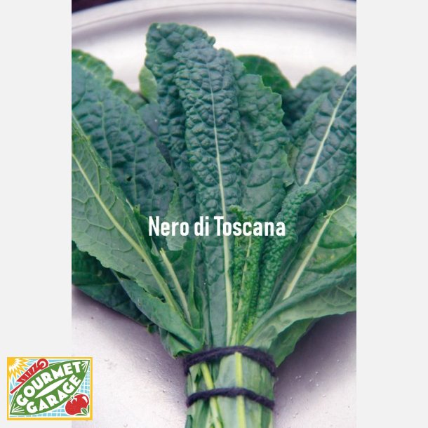 Svartkl Nero di Toscana - STORPACK