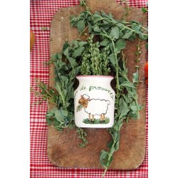 Timjan frn Provence - TIMO DI PROVENZA