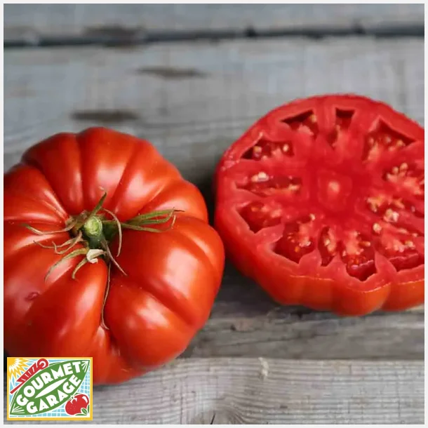 Tomat COUILLES DE TAUREAU - Ekologiska frer