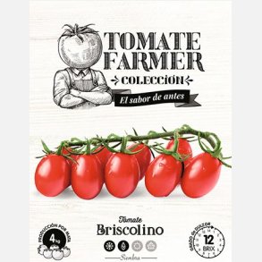 Tomat BRISCOLINO (Tomate Farmer)