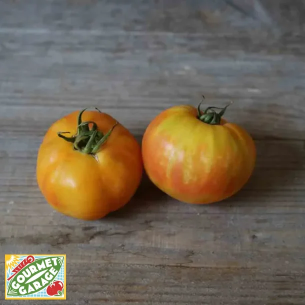 Tomat BIG RAINBOW - Ekologiska frer