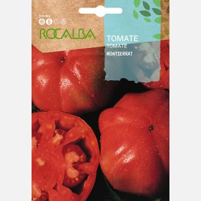 Tomat MONTSERRAT