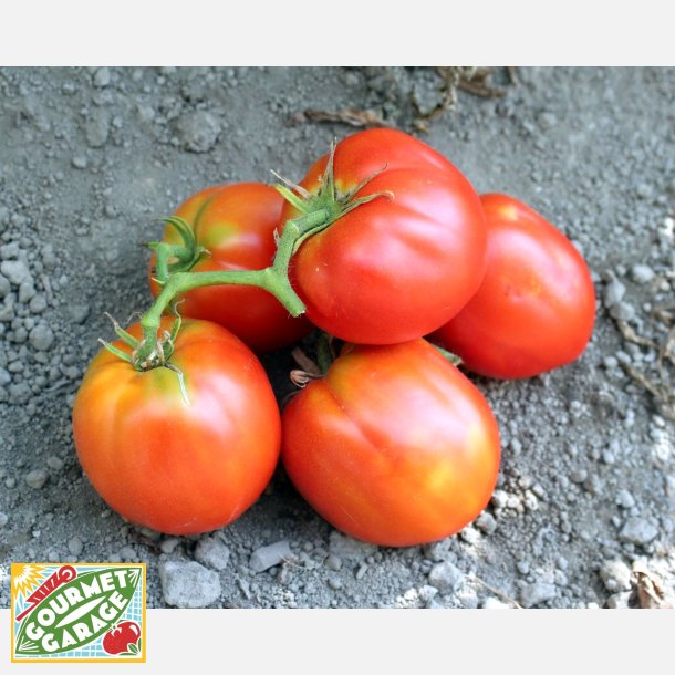 Tomat Piru di Bisignano