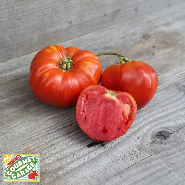 Tomat ROUGE DE CORSE (Pumata nustrale) - Ekologiska fr�er
