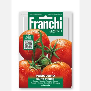 Tomat SAINT PIERRE