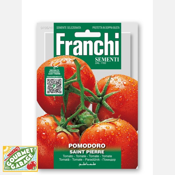 Tomat SAINT PIERRE
