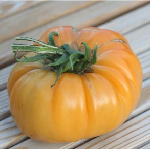 Tomat SUMMER CIDER - ekologiska frer