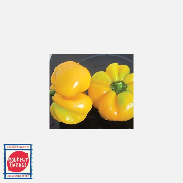 Paprika Topepo giallo (papacella napoletana) - minifrpackning