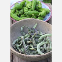 St�rb�na STORTINO DI TRENTO