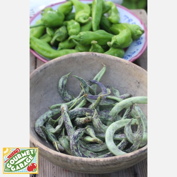 St�rb�na STORTINO DI TRENTO