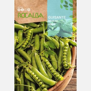 Mrgrt UTRILLO - STORPACK