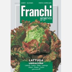 Huvudsallat UBRIACONA FRASTAGLIATA (Franchi)