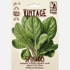 Spenat MATADOR A FOGLIE GIGANTI VERDI PIGRO A FAR SEME (VINTAGE)