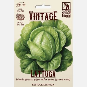 Huvudsallat BIONDA GROSSA PIGRA A FAR SEME - LA RESISTENTE SEL. FRANCHI (VINTAGE)