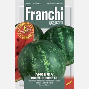 Vattenmelon MINI BLUE F1 (Franchi)  
