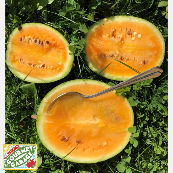Vattenmelon Solopoly (M12) - ekologiska frer