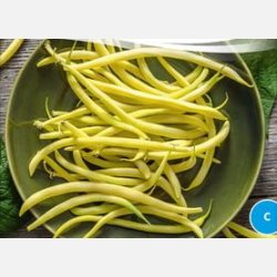 Vaxb�na DR. BECKER NR. 18 - Ekologiska fr�er