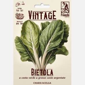 Mangold WHITE SILVER/VERDE A GROSSE COSTE ARGENTATE (VINTAGE)