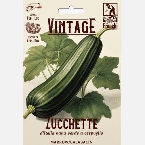 Zucchini  DITALIA NANA VERDE A CESPUGLIO (Nero di Milano)