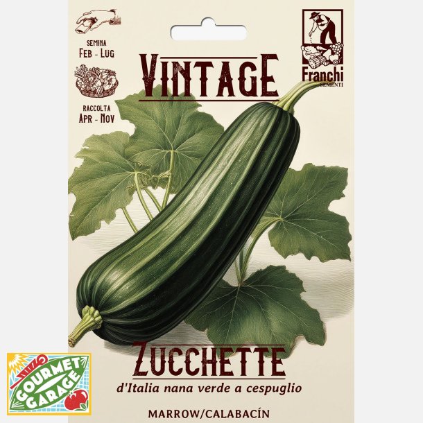 Zucchini  DITALIA NANA VERDE A CESPUGLIO (Nero di Milano)