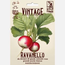 Rdisa FORZARE DI GAUDY ROTONDO ROSA GRANDE PUNTA BIANCA (VINTAGE)