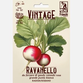 Rdisa FORZARE DI GAUDY ROTONDO ROSA GRANDE PUNTA BIANCA (VINTAGE)