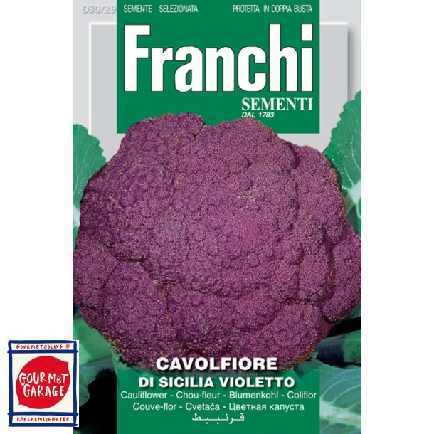 Blomkål lila - Cavolfiore Sicilia violetto