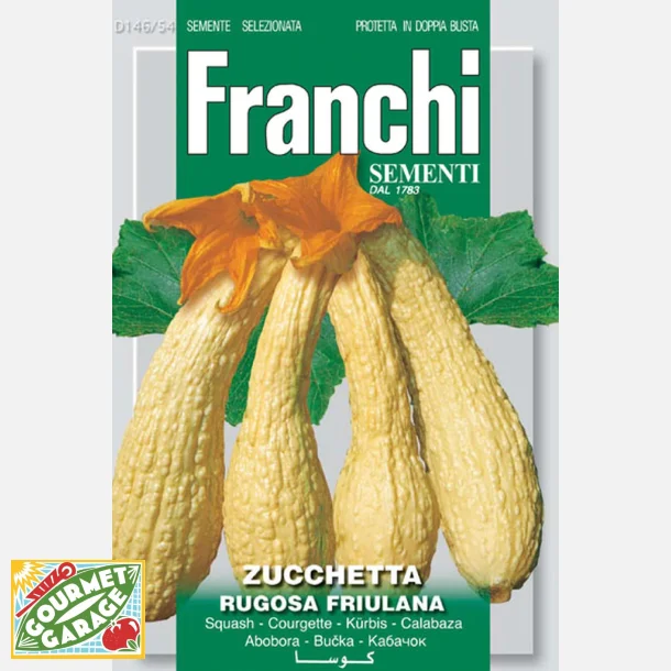 Zucchetta Rugosa Friulana 