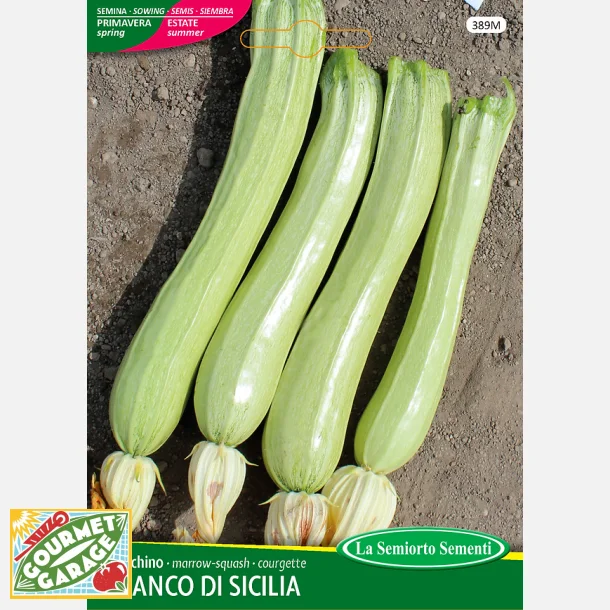 Zucchini Bianco di Sicilia -STORPACK