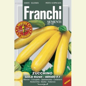 Zucchini Gold Rush F1 - STORPACK