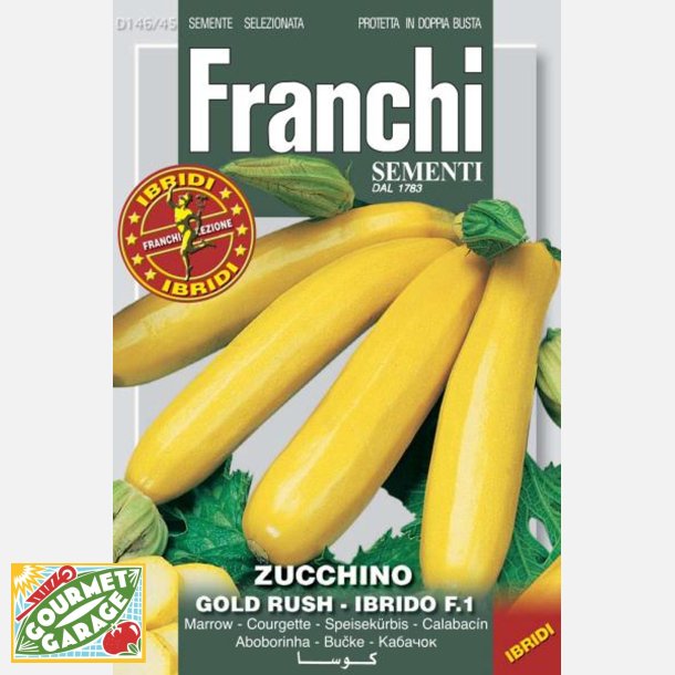 Zucchini Gold Rush F1 - STORPACK