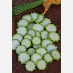 Zucchini FIORENTINO (Franchi)