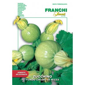 Zucchini TONDO DI NIZZA (Franchi)