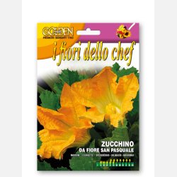 Zucchiniblommor - ZUCCHINO DA FIORE SAN PASQUALE
