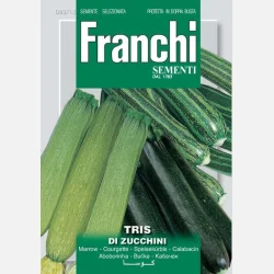 Zucchinimix TRIS DI ZUCCHINI (Franchi)
