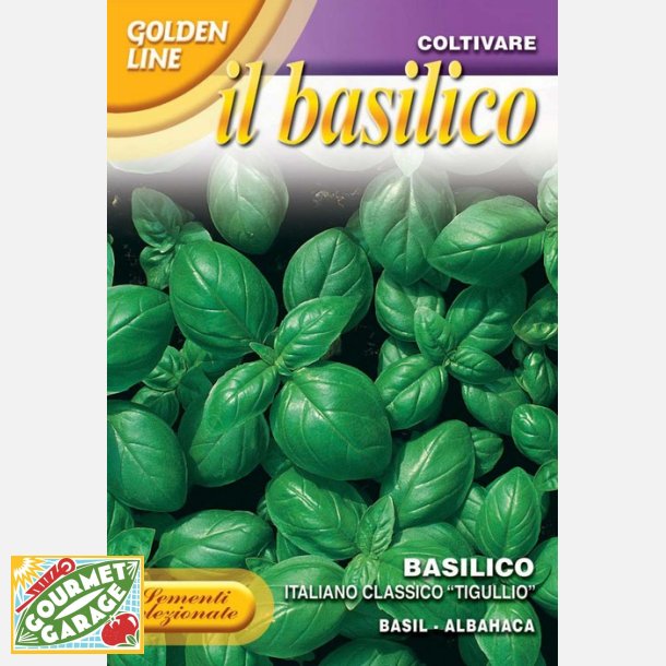 Basilika ITALIANO CLASSICO "TIGULLIO"