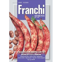 BORLOTTO LAMON (Franchi)