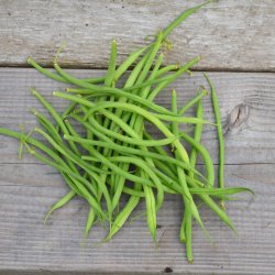 Brytb�na AIGUILLON