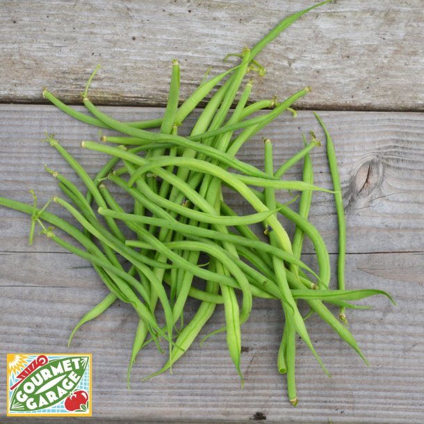 Brytb�na AIGUILLON