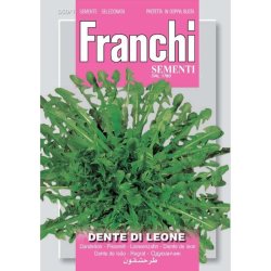 Maskros DENTE DI LEONE (Franchi)
