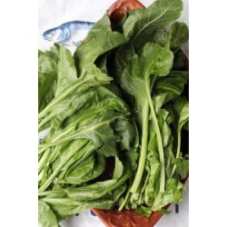 Mangold VERDE DA TAGLIO - ERBETTE  