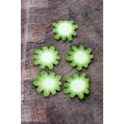 Zucchini FIORENTINO (Franchi)