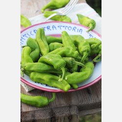 Peperone FRIARIELLO (Friggitelli) 