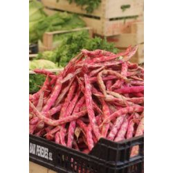 BORLOTTO LAMON (Franchi)