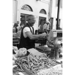 BORLOTTO LAMON (Franchi)