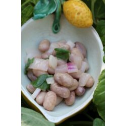 BORLOTTO LAMON (Franchi)