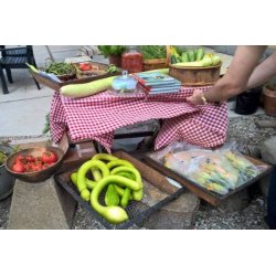 Zucchetta Tromba d'Albenga (Trombocino) - STORPACK