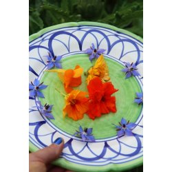 I fiori dello chef - blomstermix av �tliga blommor