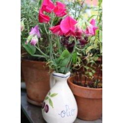 Luktrt - mix av olika vackra frger 