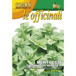 Stenkyndel (Mentuccia calamintha nepeta)